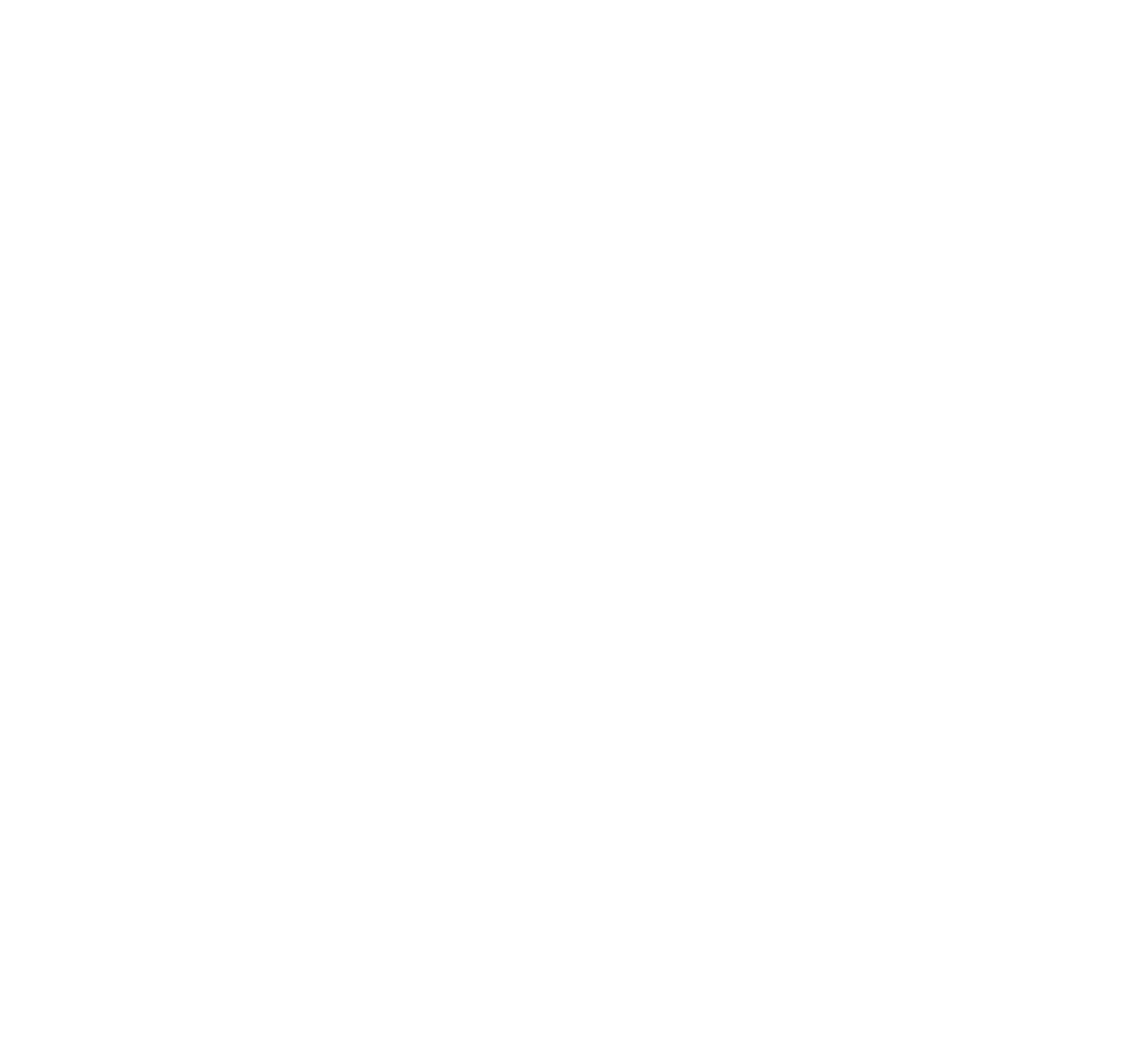 Logotipo Oficial Flik-Flak Gimnasia